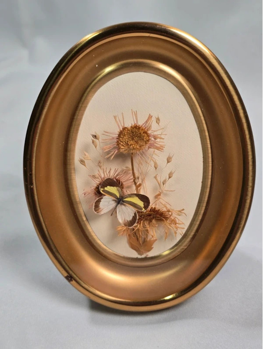 Butterfly Dried Flower Art Oval Gold Frame Botanical Display
